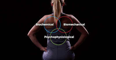 Wellness Screen