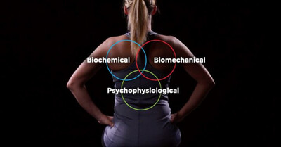 Wellness Screen